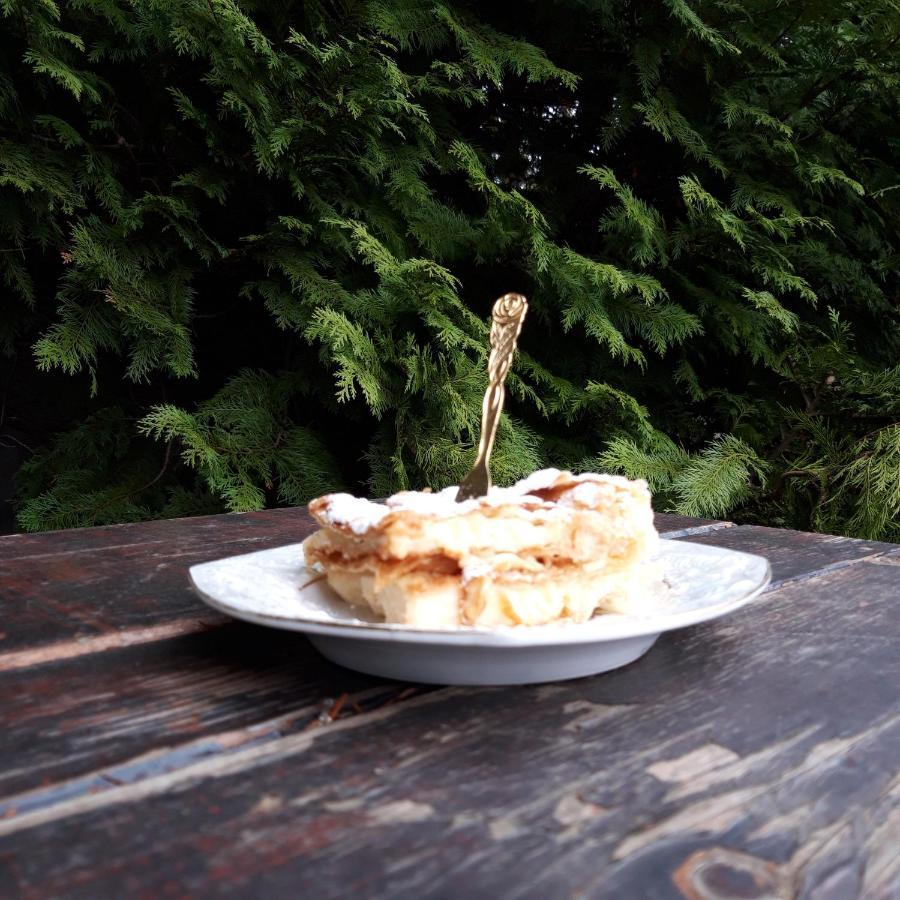 Gasthaus Domacinstvo Bakic Irig Exterior foto